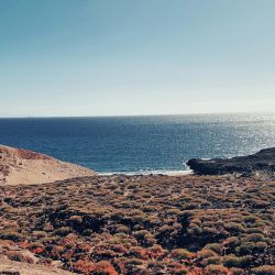 Wandern entlang der Küsten Teneriffa